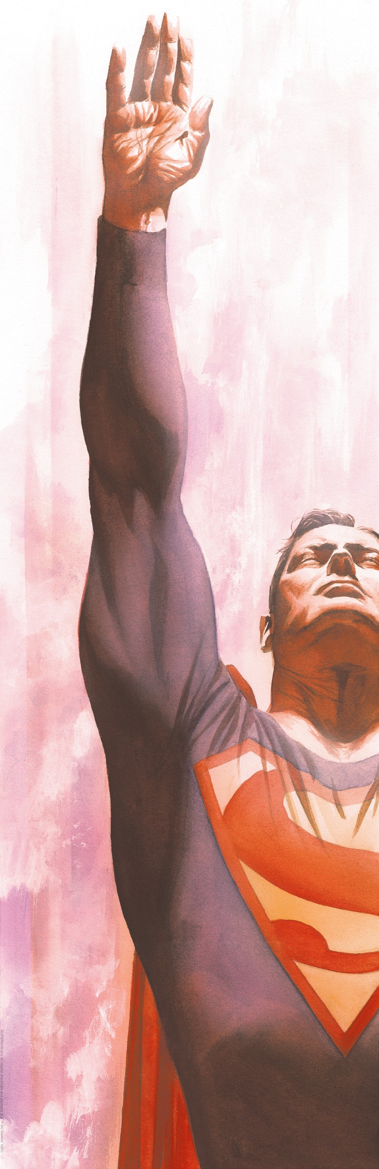 Alex Ross Superman Immortal